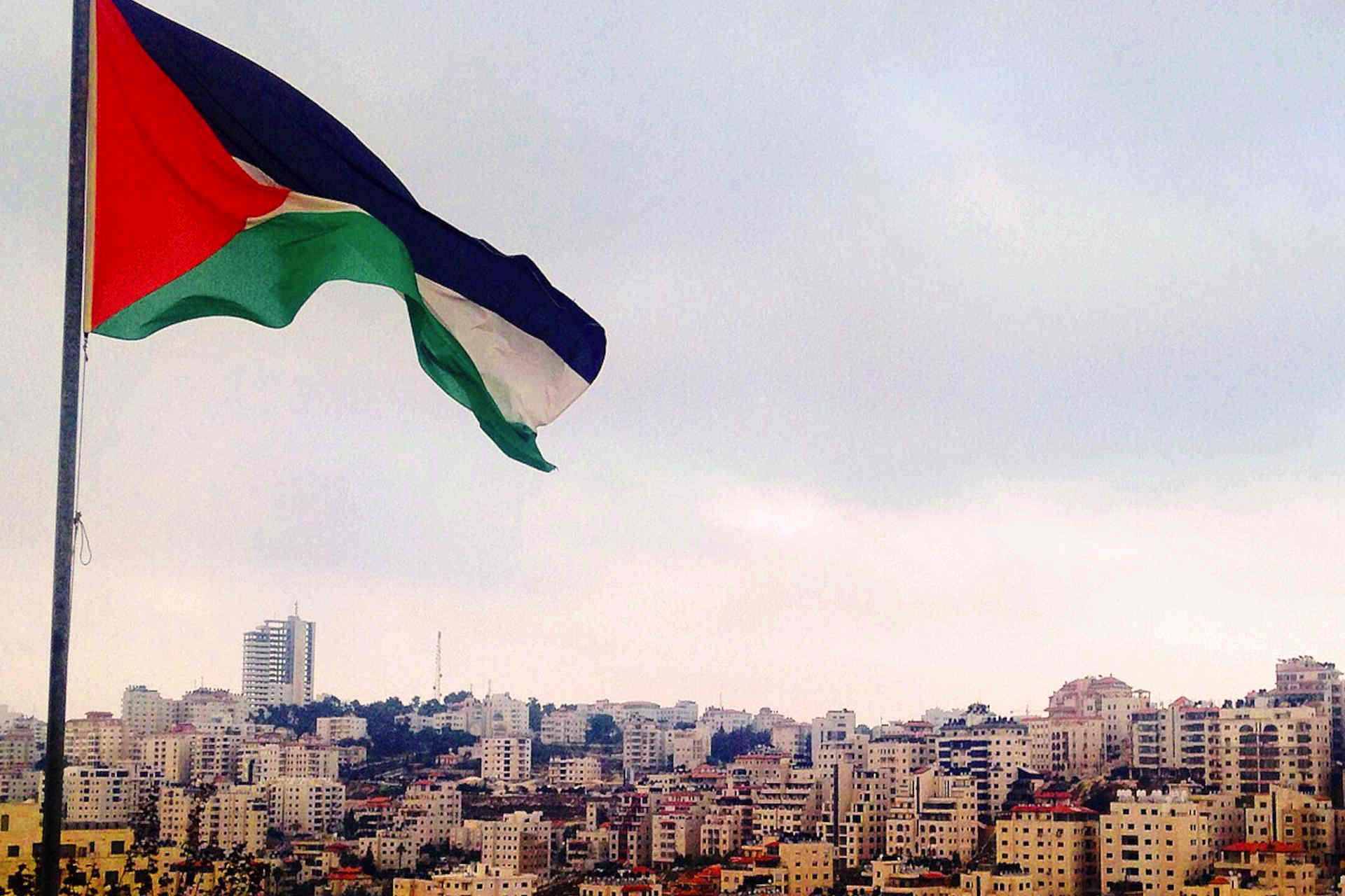 still alive podcast palestina.jpg