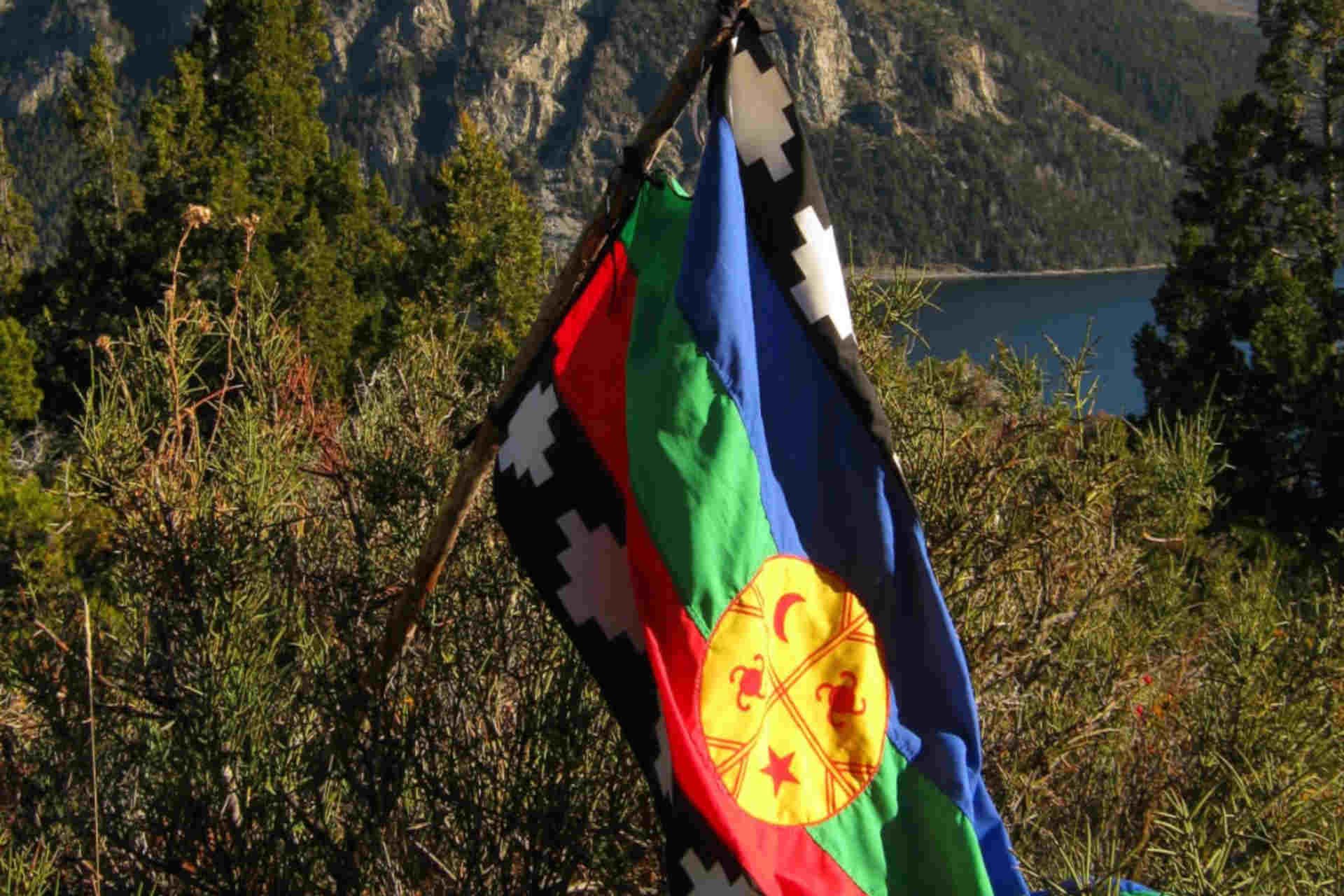 mapuche benetton bandiera.jpeg