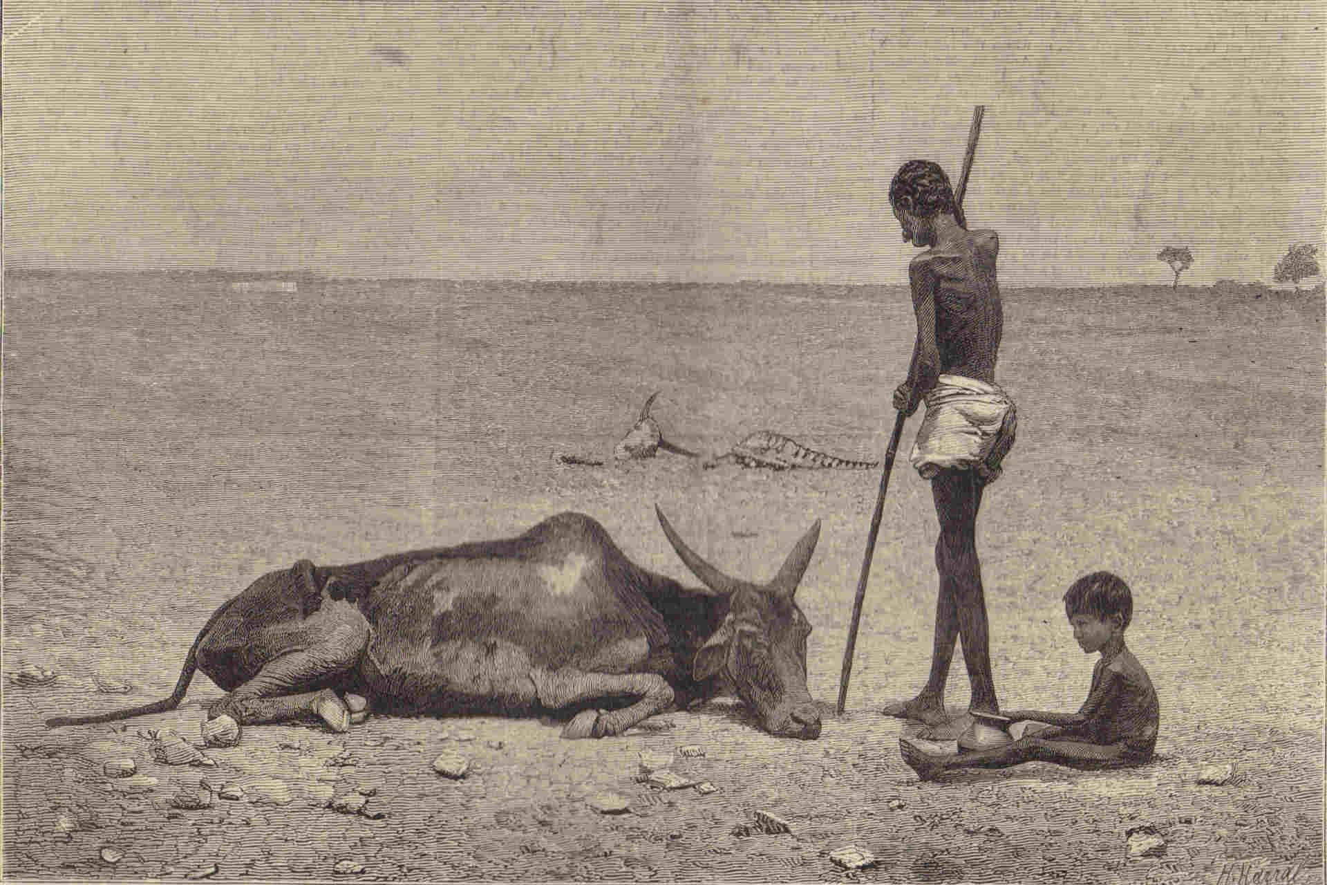 grande carestia in india.jpg