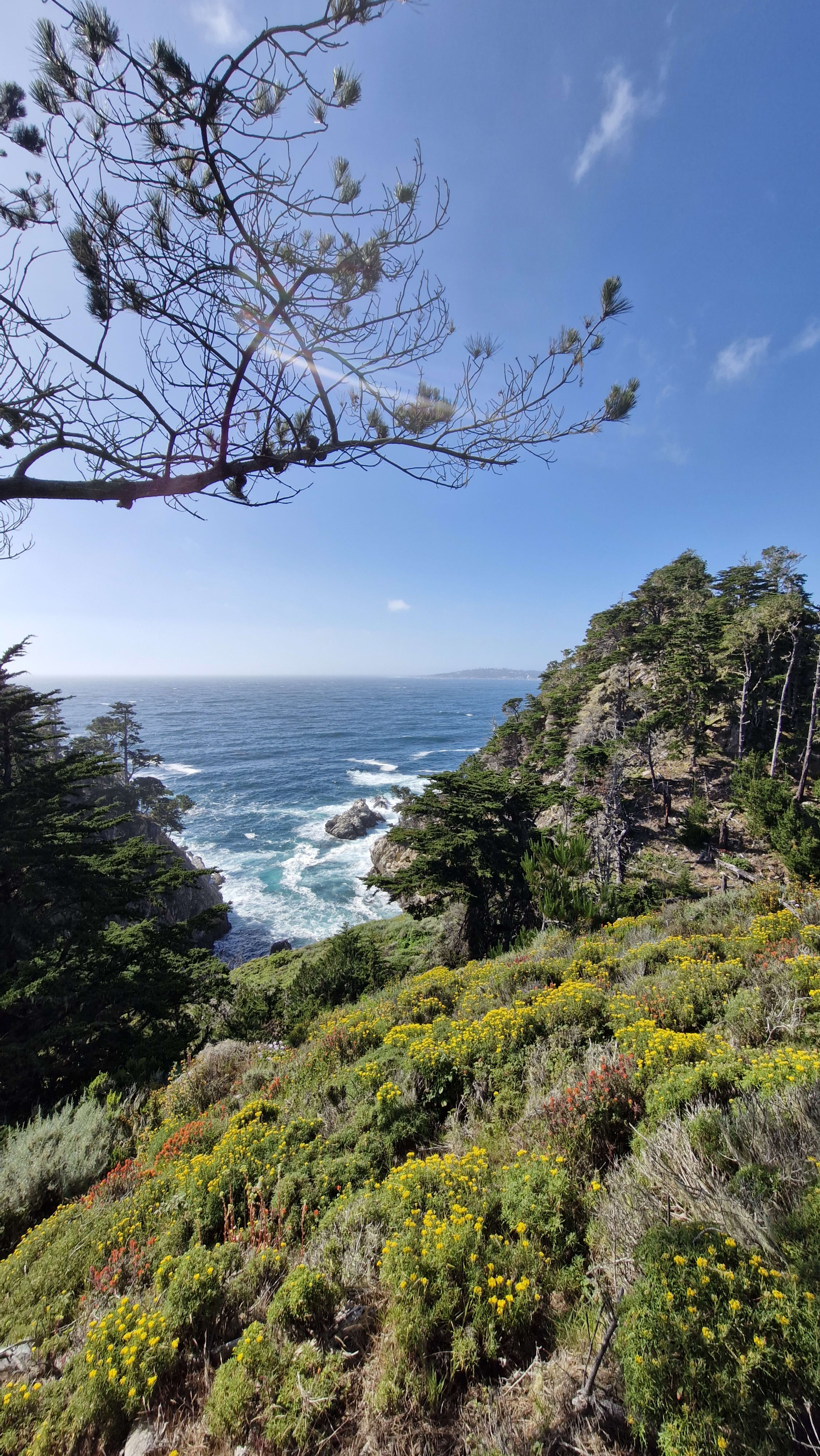 Point Lobos, Monterey, California