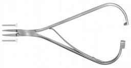 Needle Holder, Mathieu