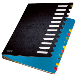 Leitz sorting folder Deskorganizer 12 compartments black