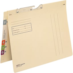 Leitz suspension file folder Orgacolor A4 260 g chamois