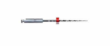 BioRaCe BR2 4% ISO 25 25mm DM 6St