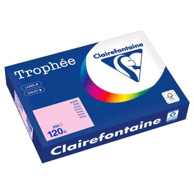 Clairefontaine copy paper A4 120 g 250 sheets rs