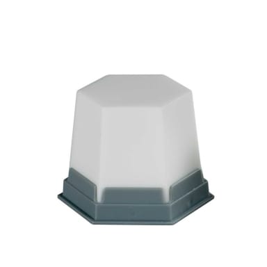 Renfert GEO Sneeuwwit Ondoorzichtig "L" 75g