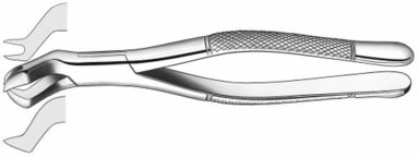 Zahnzange 409/88L US Form OK Molaren