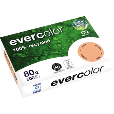 Clairefontaine copy paper A4 80 g recycled 500 sheets salmon