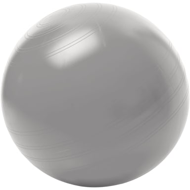 Togu exercise ball ABS no roll-away 65 cm size L silver