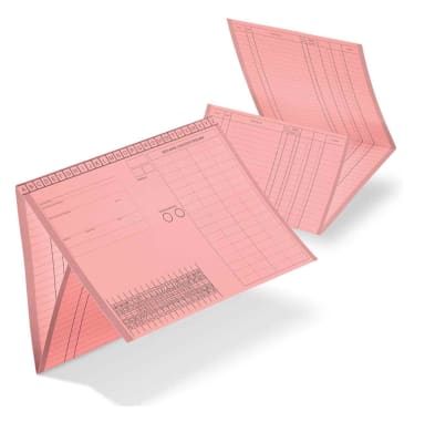 Kartei-Faltmappe A5 rosa 100St