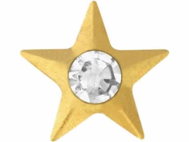 Prodent Twizzler ster met diamant 22ct goud