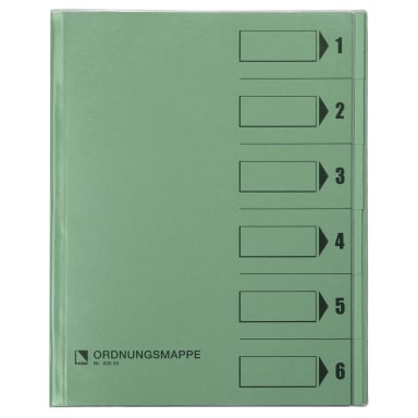 Bene sorting folder A4 6 compartments green