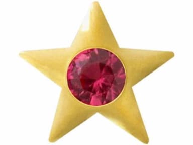 Prodent Twizzler Ster met Robijn, 22ct Goud