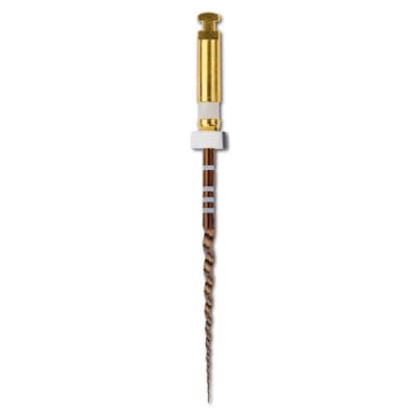 PROTAPER Gold S2 31mm 6St