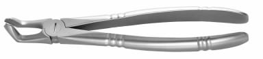 American Eagle Instruments Tandtang UK Afb. 79 Lijmprofiel
