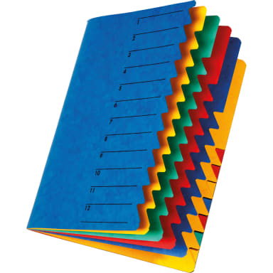 Pagna sorting folder EASY A4 12 compartments pressboard blue