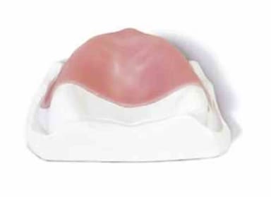 Dentona Base LC Basisplaten Roze (50 stuks)