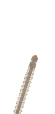 Titan Gewindestifte rot kurz (Nachfüllpackung, 1 Packung á 10 Stifte)