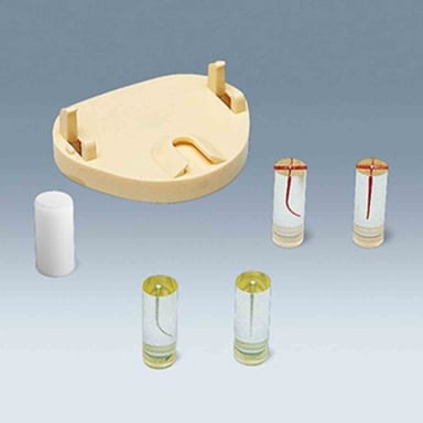 Frasaco Endo-Trainer Kit