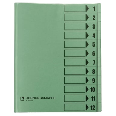 Bene sorting folder A4 12 compartments green