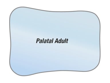 Photo mouth mirror chrome-coated, Buccal Narrow