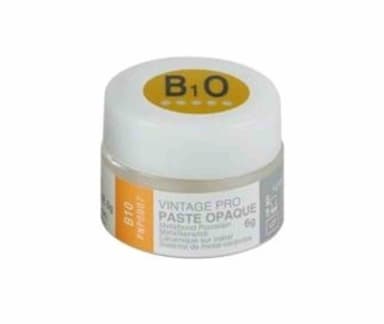 SHOFU DENTAL Vintage PRO Paste Opaque 6g B1O