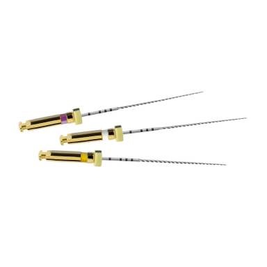 DeTrey PathFile 013/016/019 21mm (6 stuks)