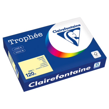 Clairefontaine copy paper A4 120 g 250 sheets yellow