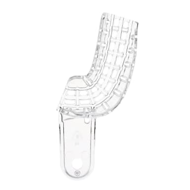 President Tray OK Li/UK re Gr.7 Dtz