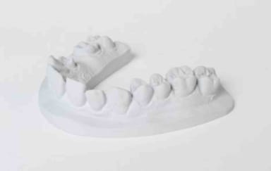 Dentona Nr.1 Dolfijn 5 kg