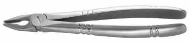 American Eagle Instruments Tandtang OK Incisivi diep