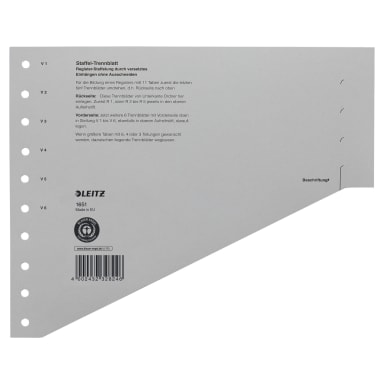 Leitz divider sheet A4 200 g cardboard 100 pieces grey