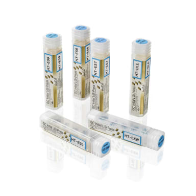 GC Initial™ LiSi Press HT E58
