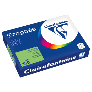 Clairefontaine copy paper A4 160 g 250 sheets may green