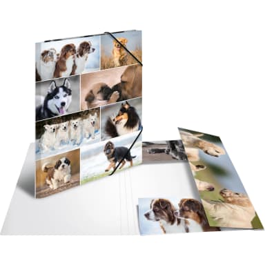 HERMA document folder A3 dogs