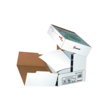 Biotop 3 paper A4 80 g 2,500 sheets white