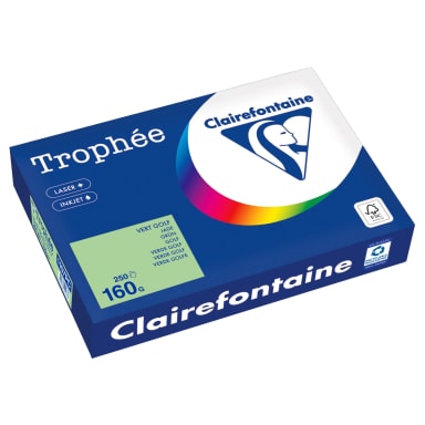 Clairefontaine copy paper A4 160 g 250 sheets green