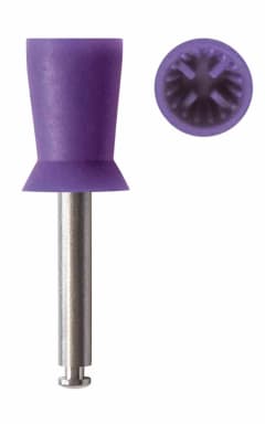 Stoddard Smart Prophy Medium Purper RA Rok (100 stuks)