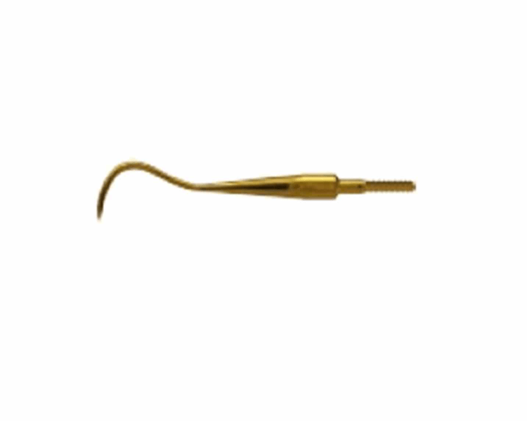 Scaler Eagle Claw B XP Quick Tip AE