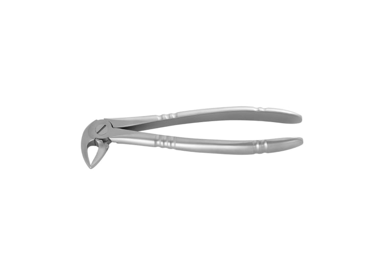 Zahnzange UK Fig. 33 Haftprofil