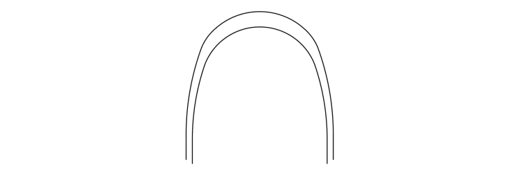 Stainless steel Golden archwires Pro Form 10/PK, .016 x .022, upper