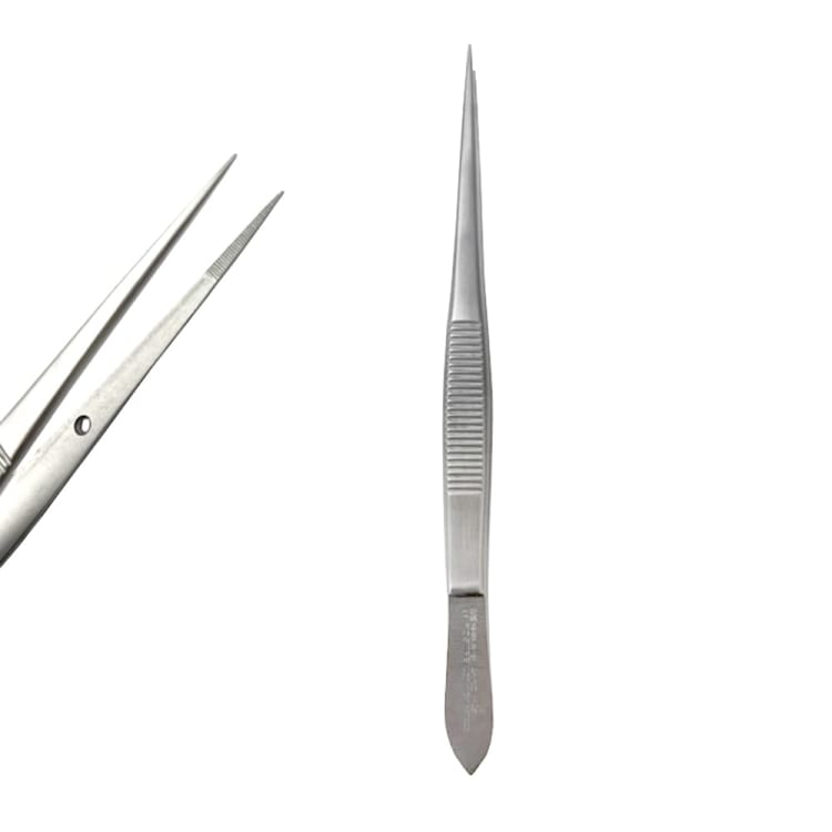 Semken-Taylor Tweezers, Length = 12 cm
