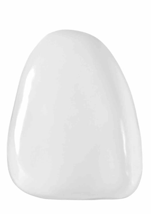 BRILLIANT COMPONEER Bleach Trans. M21