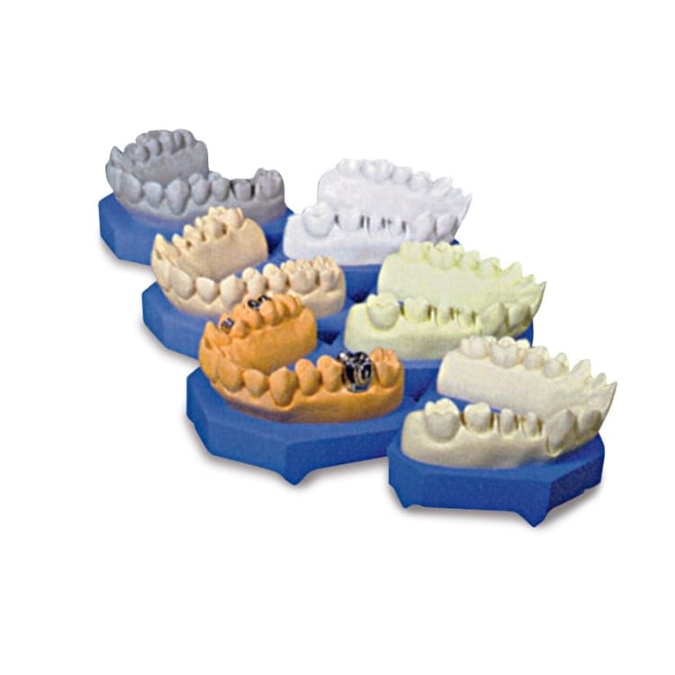 BMS Dental Gips Type III (3) - (5 / 25 kg - Geel / Blauw / Roze)