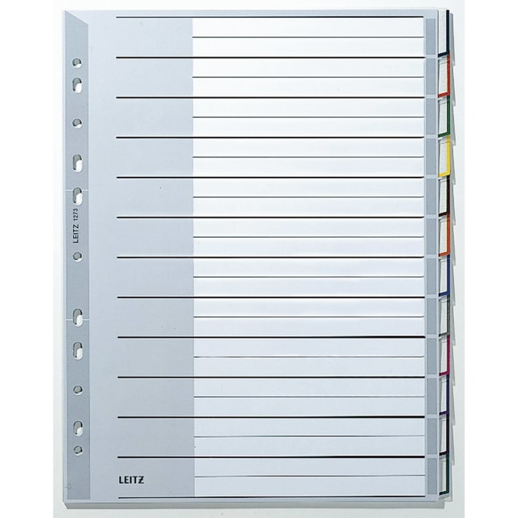 Leitz Register DIN A4+ 12 Blatt blanko