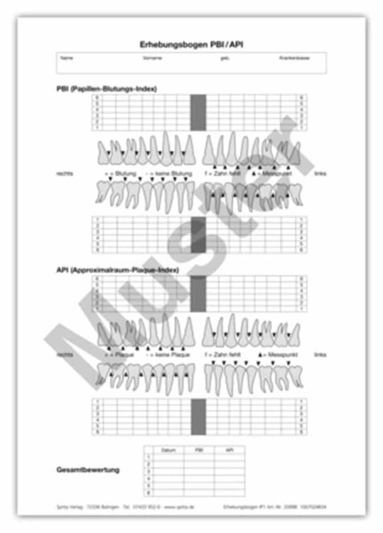 Erhebungsbogen PBI/API A4 100St