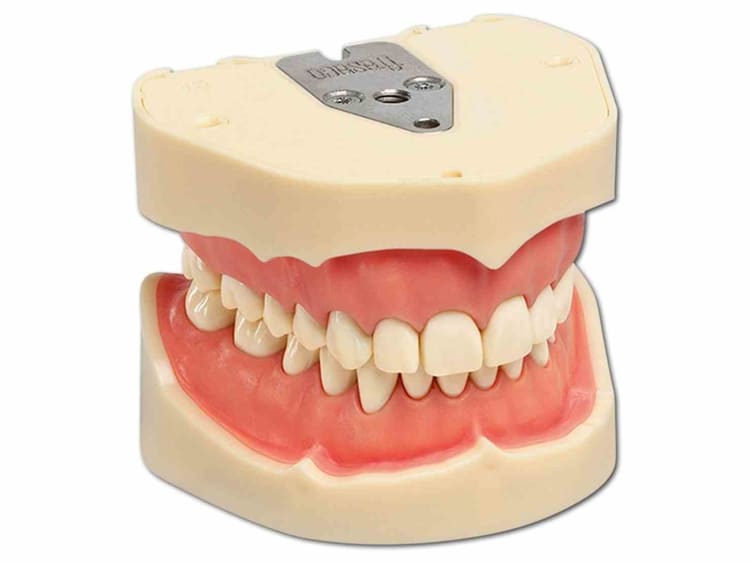Frasaco Modell ANKA-4V OK+UK