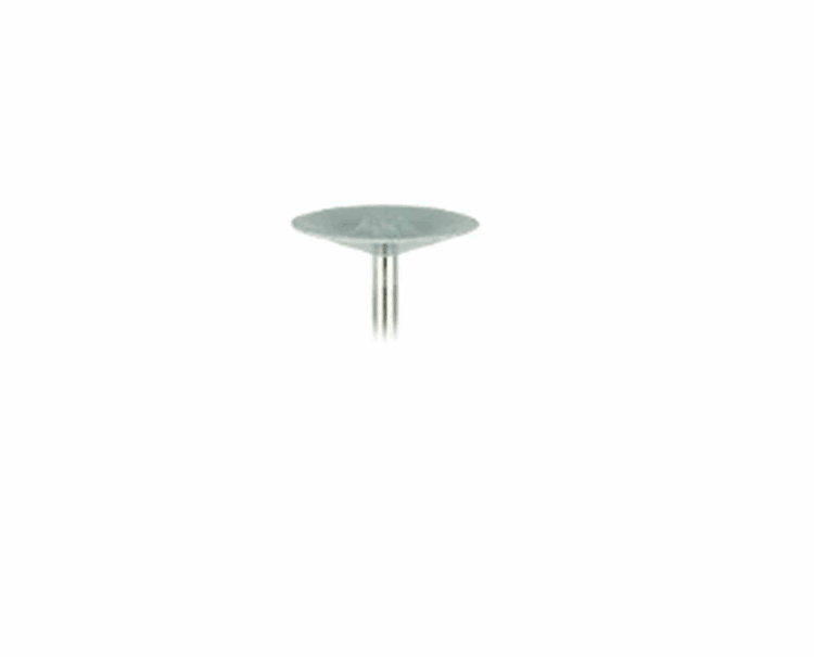 CompoSite Polierer Disk 0194 W Dtz