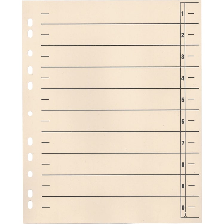 Divider sheets 24x30 cm 190 g 11-hole punched 100 pieces chamois