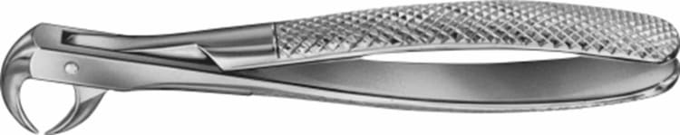 Zahnzange Fig.86C DG573